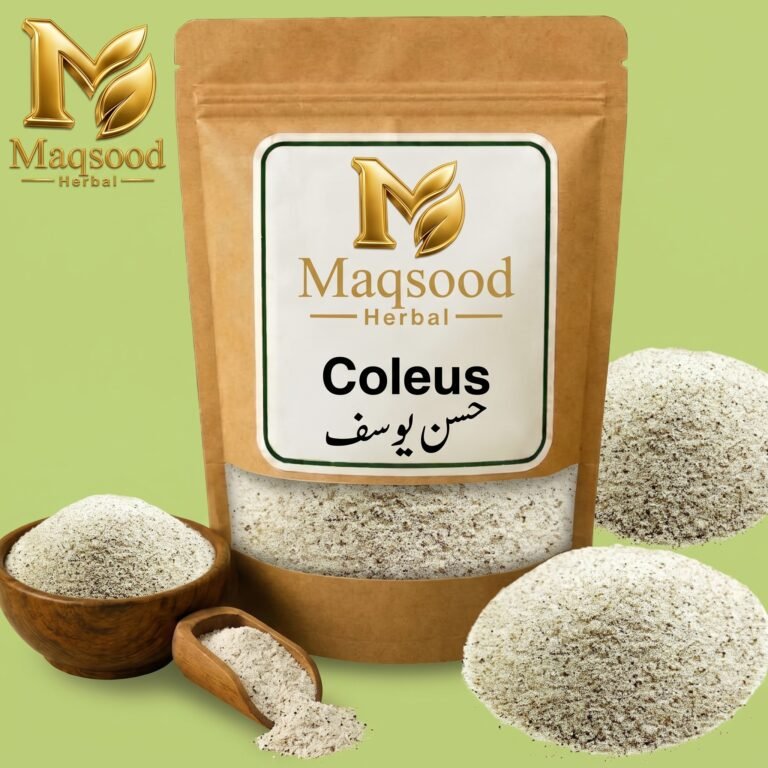 Coleus herb by Maqsood Herbal